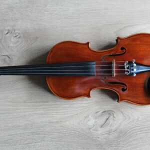 A violin